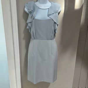 Bebe Ruffle Bodice Dress